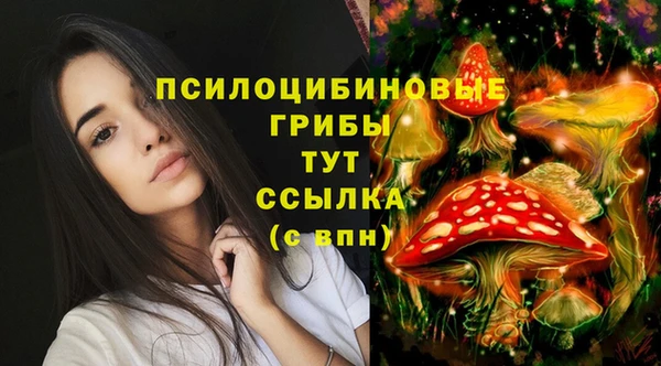 ПСИЛОЦИБИНОВЫЕ ГРИБЫ Вязники