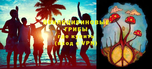 амф Вязьма