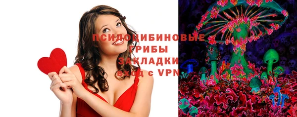 ПСИЛОЦИБИНОВЫЕ ГРИБЫ Вязники