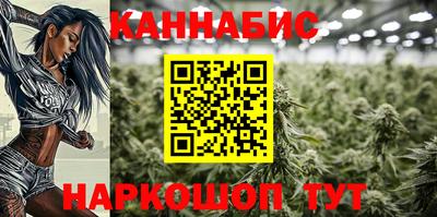 гашик Волжский