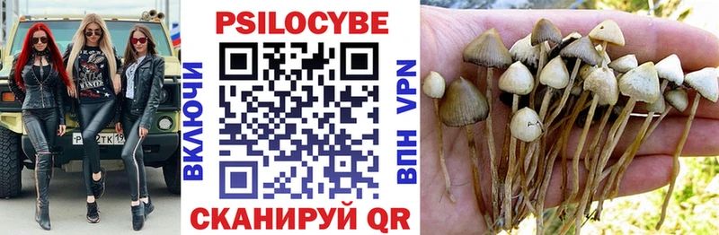 закладки  Воткинск  Псилоцибиновые грибы Cubensis 